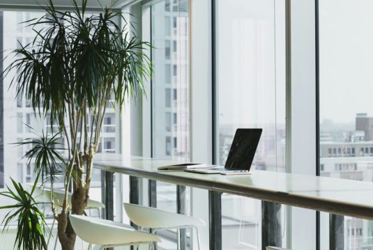 Laptop on high table at window front with a plant at the end of the table