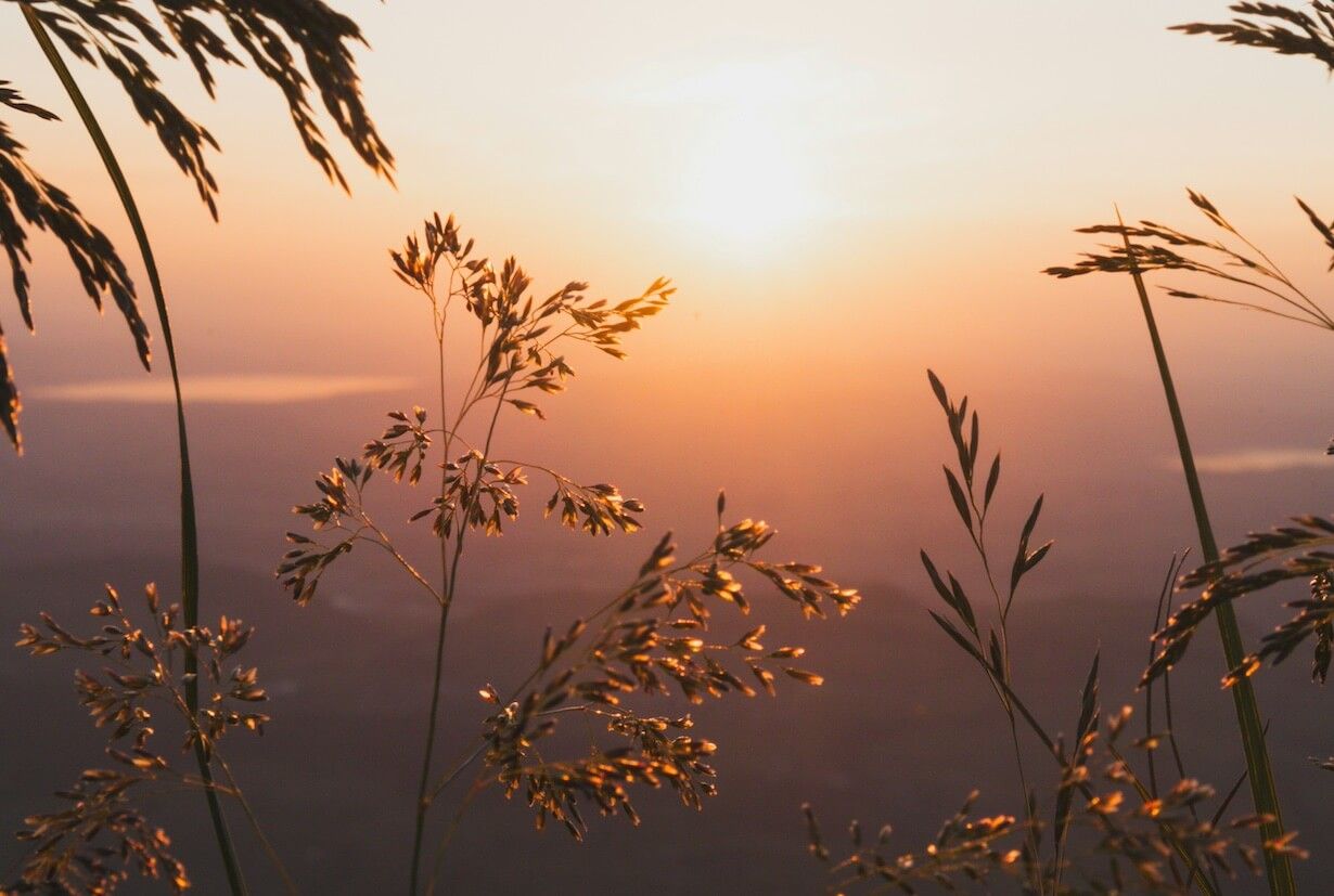 Sunrise in Switzerland