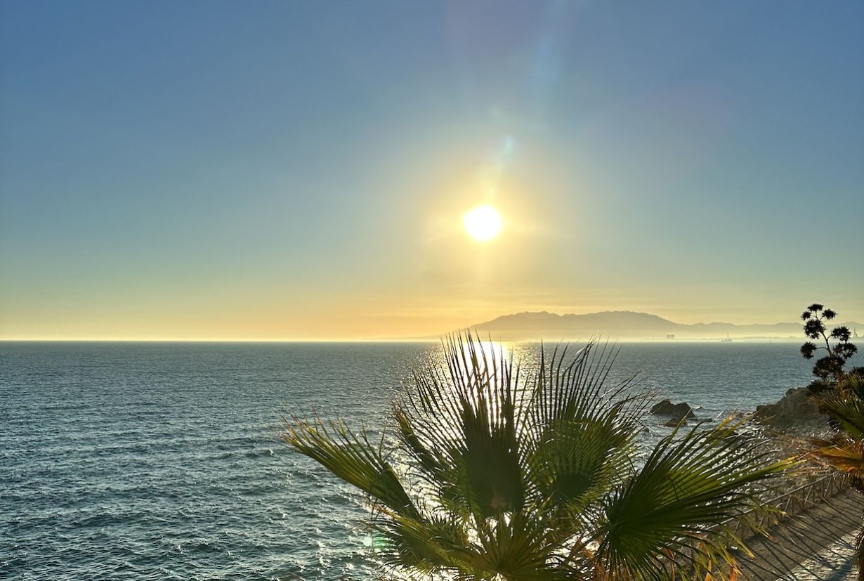 Sonne steht am Horizont über dem Meer mit Palmen im Vordergrund.